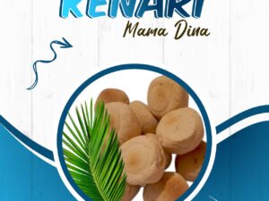 bagia kenari bagia kenari