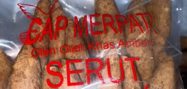 Cropped IMG 20250910 WA0037 E1757504229689