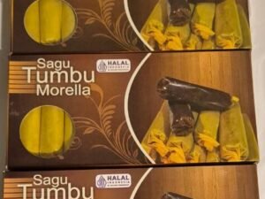 cropped whatsapp image 2025 09 10 at 12.58.51 0fe15766 2.jpg cropped whatsapp image 2025 09 10 at 12.58.51 0fe15766 2.jpg